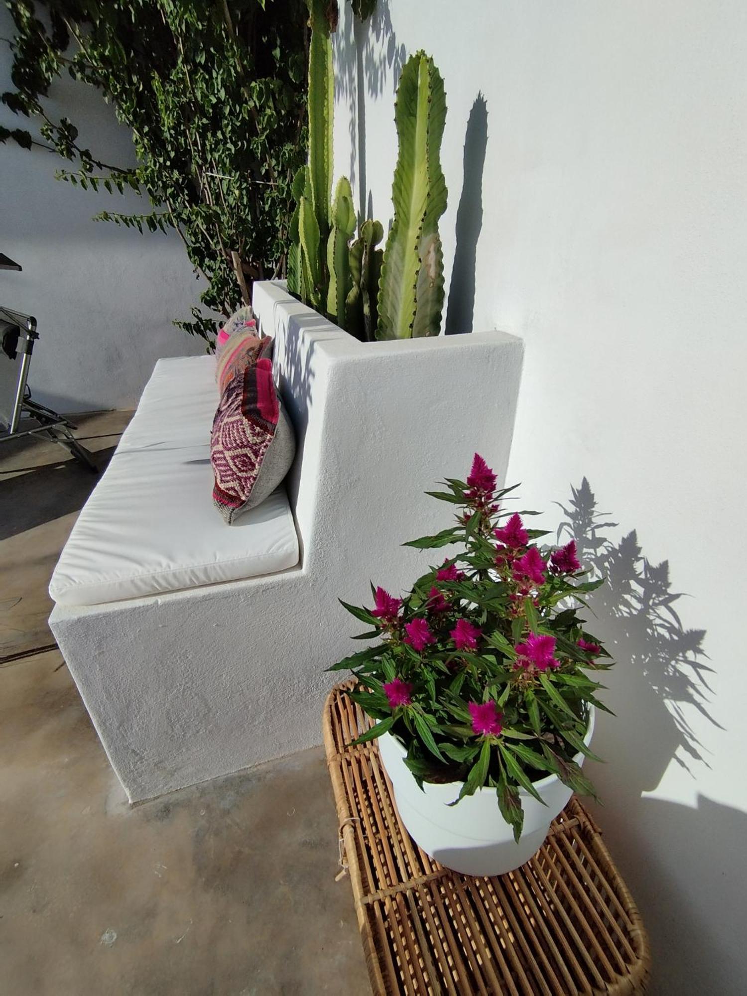 La Alberca Boutique Studio Ла-Линеа-де-ла-Консепсьон Экстерьер фото